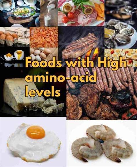 Health Benefits Of High Amino Acid Foods Thyroid And Metabolism