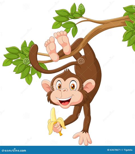 Cartoon Happy Monkey Hanging And Holding Banana Stock Vector