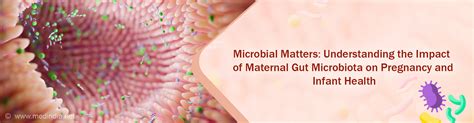 How Changes In Maternal Gut Microbiota During Pregnancy Impacts Infant