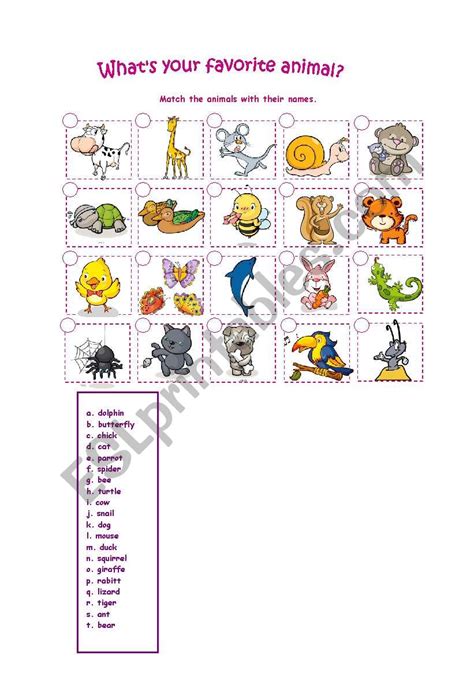 What Is Your Favourite Animal Esl Worksheet By Snmmyssr