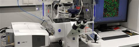 Inverted Zeiss Lsm 710 Laser Scanning Confocal Microscope With 34