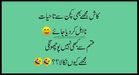 laugh out loud hilarious and clever funny sms jokes in urdu to brighten your day