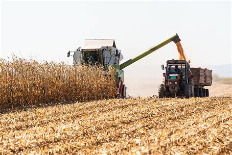 Harvest On The Front Lines Food And Nutrition Magazine