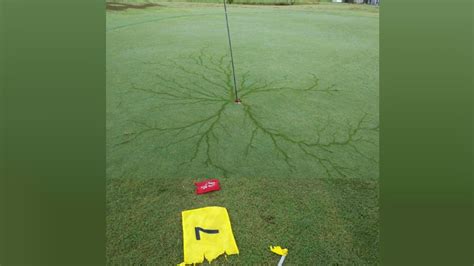 Hole In One Lightning Strike Leaves Mesmerizing Display On Golf Course