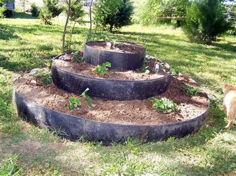 How do you build a strawberry garden? Our Strawberry Bed—Recycled Round Baler Belts. - Peace ...