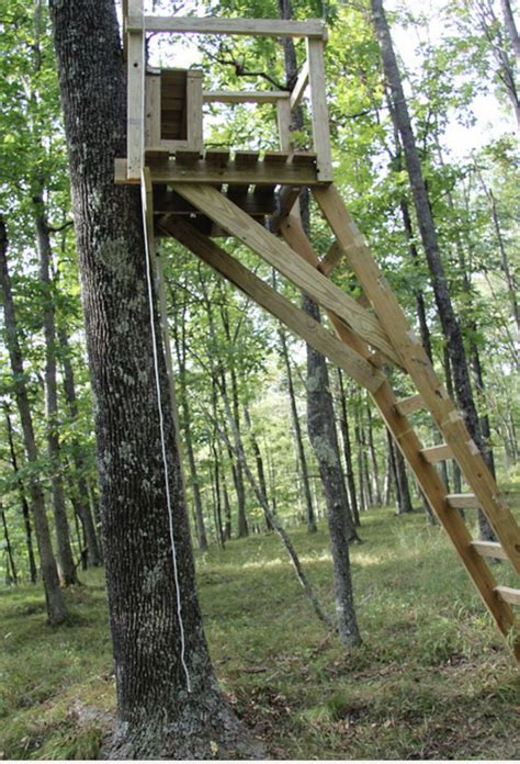 Pin By Nathan Thigpen On Diy Tree Stand Hunting Deer Stand Tree