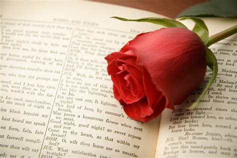 How Shakespeare And Chaucer Helped Create Valentines Day
