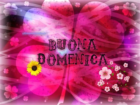 Trova immagini fiori gratis scarica immagini di fiori da scaricare scegli nuove immagini nuove di fiori hd da utilizzare per i tuoi progetti. Immagini buona domenica: le più belle da scaricare ...