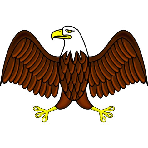 Free Bald Eagle Clipart 20 Free Cliparts Download Images On