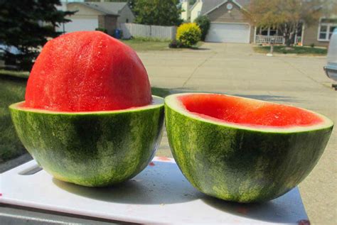 Skinned Watermelon Lifes A Tomato