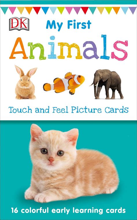 My First Touch And Feel Picture Cards Things That Go My 1st