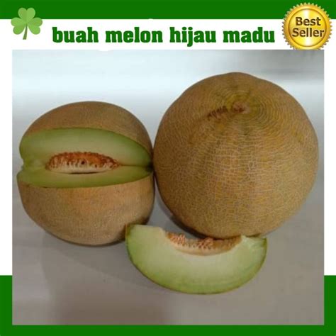 Jual Buah Melon Hijau Madu 1buah Berat 2 Kg Bisa Lebih 1buah Utuh Shopee Indonesia