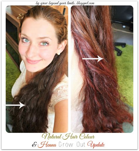 How to grow out your hair color. How to grow healthy, long and beautiful hair. Holistic and ...