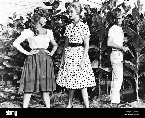 Parrish From Left Connie Stevens Diane Mcbain Troy Donahue 1961