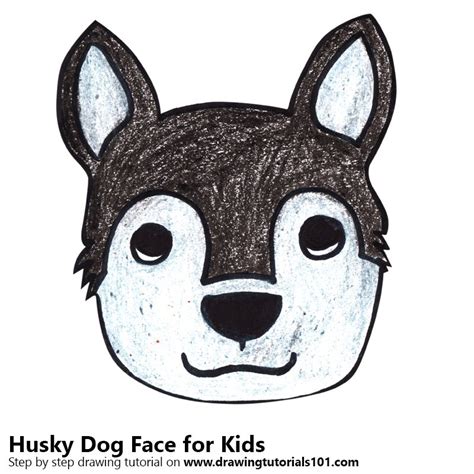 Husky Drawing Easy At Explore Collection Of Husky
