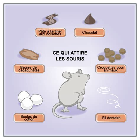 Chantal ladesou, joséphine drai, julien arruti and others. Comment attraper un mulot - taupier sur la France