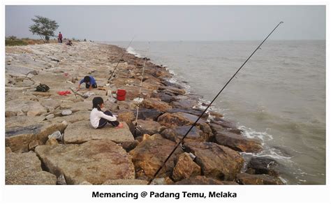 Joran laut pioneer surf success dps 450. mrkumai.blogspot.com: Memancing bersama anak-anak di ...