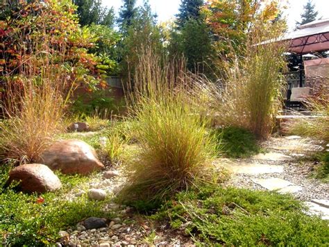 Residential Lawn Alternatives And Drought Tolerant Landscape