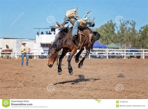 Bucking Bronco Horse At Country Rodeo Editorial Image Image Of Dusty