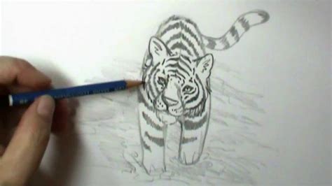 How Do You Draw A Tiger Face Step By Step Peepsburgh Com