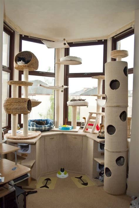 Casas Incríveis Adaptadas Para Gatos Casa Do Criativo