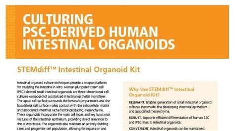 Stemdiff™ Intestinal Organoid Growth Medium Stemcell Technologies