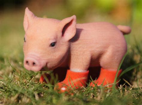 Piglet In Red Boots Hurd9wds6 By Ericho