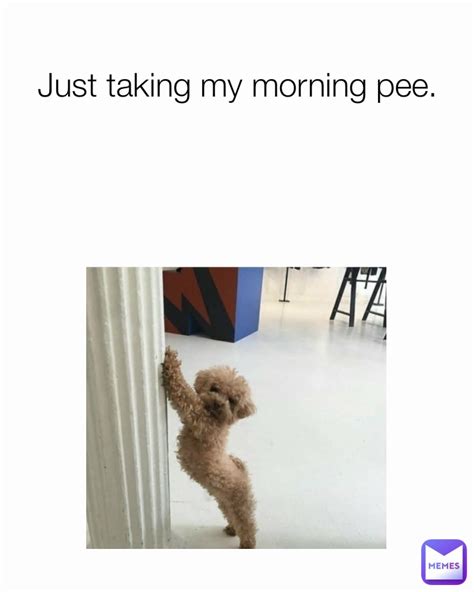 Just Taking My Morning Pee Bryholfz17 Memes