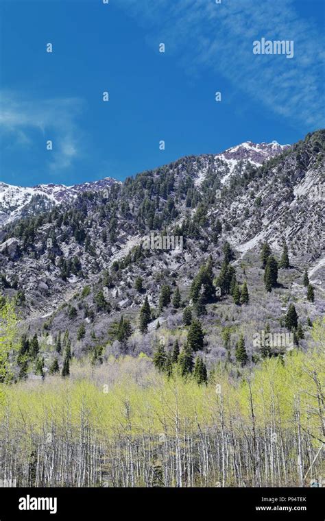 Panoramic Views Of Wasatch Front Rocky Mountains From Little Cottonwood
