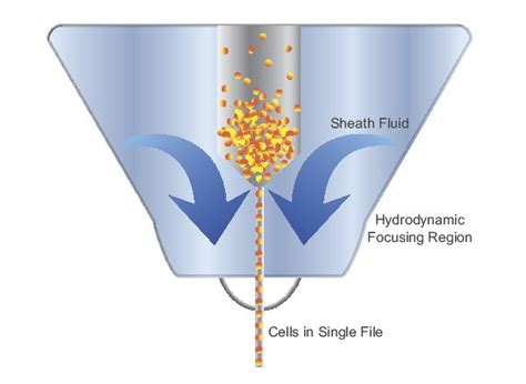 Flow Cytometry