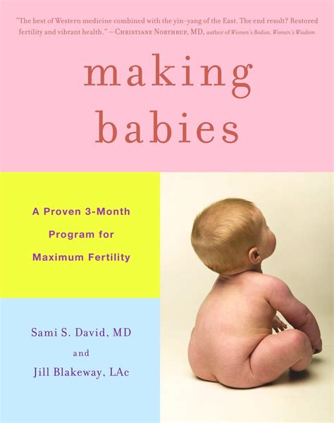 Making Babies Jill Blakeway The Yinova Center