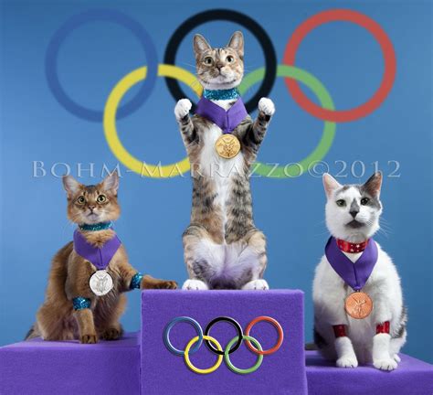 Olympic Cats Featured In Intouch Magazine Cats Animal Photography