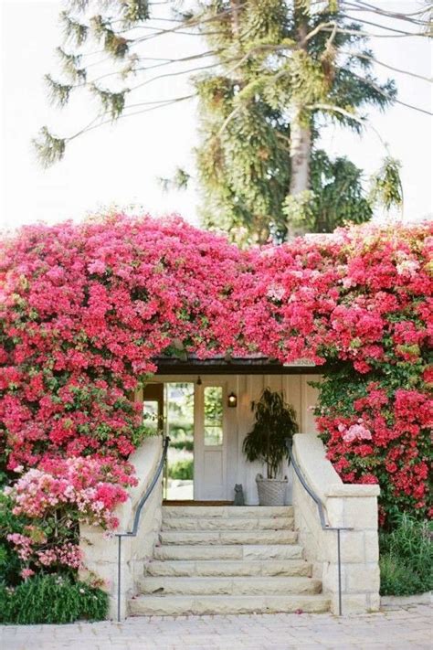 Home garden is located close to the center of california. Northern California Style: Think Pink! Friday Edition ...