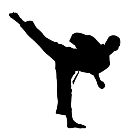 Karate Silhouettes Wall Decals Karate Silhouette Decals