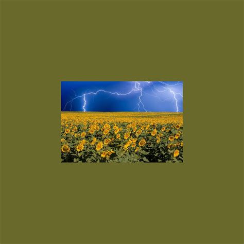 Sunflower Lightning Field Duvet Cover For Sale By James Bo Insogna
