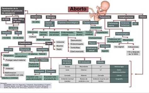 Blog De Evidencias De La Materia De GinecologÍa Y Obstetricia Aborto