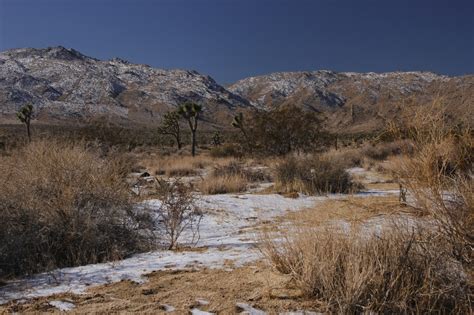 Deserts And Beyond Joshua Tree National Park Had Snow
