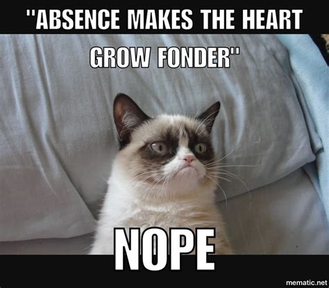 28 Grumpy Cat Memes Nope Grumpy Cat Humor Funny Grumpy Cat Memes