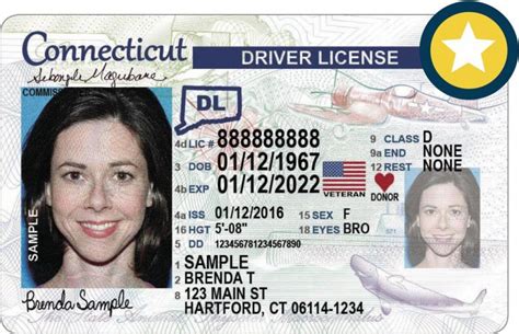 How To Get Your Connecticut Drivers License Fast 2024