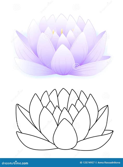 Blue Lotus Stock Vector Illustration Of Blooming Flower 12574957