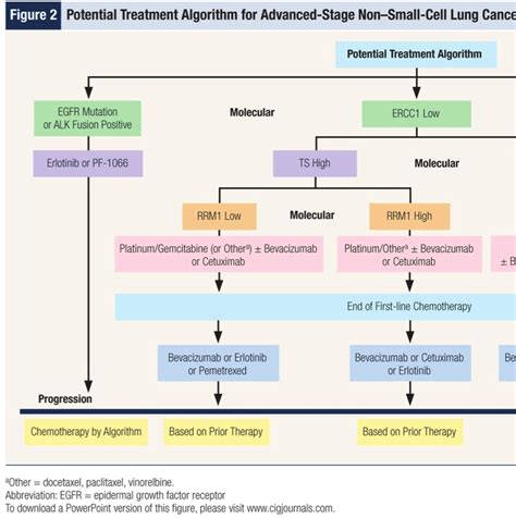 Potential Treatment Algorithm For Advanced Stage Non Small Cell Lung