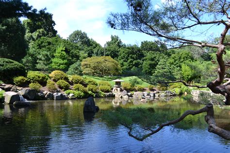 Friends Group Restores 137 Year Old Japanese Garden In West Fairmount
