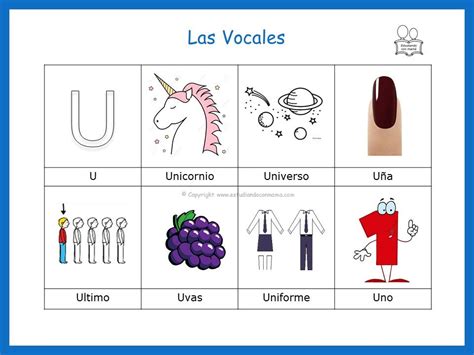 Palabras Que Inician Con La Vocal U Actividades Vocales Actividades