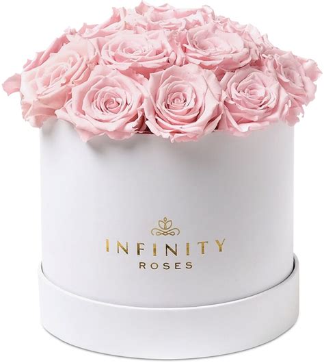 Infinity Roses Round Box Of 16 Pink Real Roses Preserved To Last Over