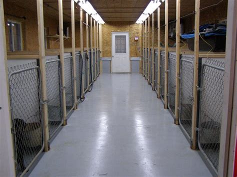Rational Preparedness The Blog Notes On Building A Kennel Or