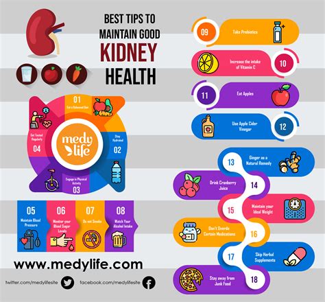 Best Tips To Maintain Good Kidney Health Medy Life