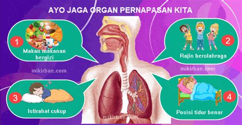 Keren Poster Cara Merawat Organ Pernapasan Koleksi Poster Riset