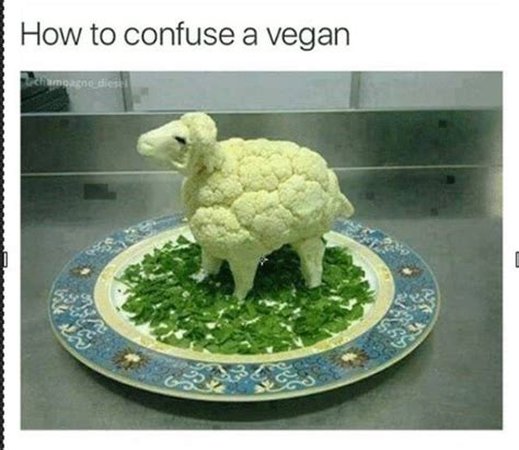 15 Spicy Vegan Memes That Are Hilariously Accurate Vegan Humor Vegan