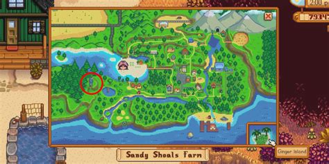 Stardew Valley How To Unlock And Use The Shrine Of Illusions Gamers Word