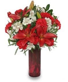 Maybe you would like to learn more about one of these? Christmas Flowers | Gibsonia Flowers